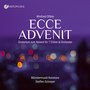 Winfried Offele: Ecce Advenit