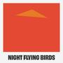 Night Flying Birds