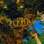 Ceros (feat. Soowney) [Explicit]