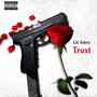 Trust (Explicit)