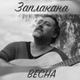 Заплакана весна