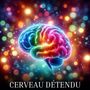 Cerveau détendu (Guide de méditation pour l'esprit calme)