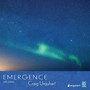 Emergence
