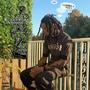 #RSSISEKAIED (Explicit)