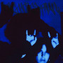 Nightcrawl (Explicit)
