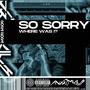 So Sorry Where Was I? (Explicit)