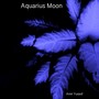 Aquarius Moon