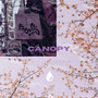 Canopy