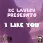 I Like You (feat. 2xLavish) [Explicit]