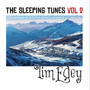 The Sleeping Tunes, Vol. 2 (Christmas & Celtic Music Played on Guitar)