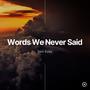 Words We Never Said