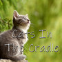 Cats In The Cradle