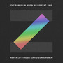 Never Letting Go (David Zowie Remix)