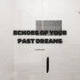 Echoes Of Your Past Dreams