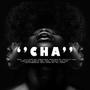 CHA (feat. Kelvin Momo, Samthing Soweto & Sha Sha type beat)