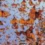 Butterflies (feat. Latoya) [Explicit]