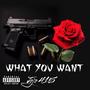 What You Want (Explicit)