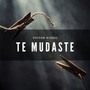 TE MUDASTE (Explicit)