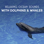 Relaxing Ocean Sounds with Dolphins & Whales – Healing Water Music Therapy, Natural Sleep Aid, Crashing Ocean Waves, Deep Meditation