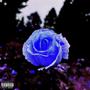 Time To Bloom (Explicit)