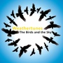 The Birds And The Sky