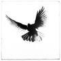 The Birds (Explicit)
