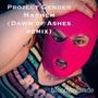 Project Gender Mayhem (Dawn of Ashes Remix)
