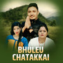 Bhuleu Chatakkai