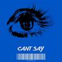 Cant Say (Explicit)