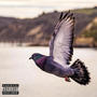 Pigeons (feat. Cuauhtli) [Explicit]