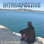 Introspective (Explicit)