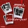 Izinkanyezi (feat. Sphiwe The Vocalist)