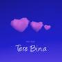 Tere bina (Explicit)