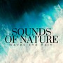 Sounds of Nature - Waves and Rain