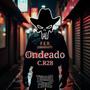 El Ondeado C.R28