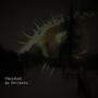 vanished in darkness (Explicit)