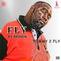 Fly By Design (Explicit)