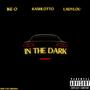 In The Dark (feat. KashLotto & LadyLou) [Explicit]