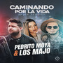 Caminando por la Vida (Salsa Version) [Explicit]