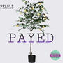 Payed (Explicit)