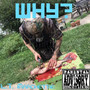 Why? (Explicit)