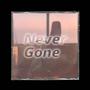 Never Gone