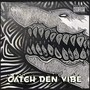 Catch den Vibe (Explicit)