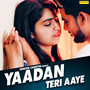 Yaadan Teri Aaye - Single