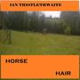 Horse Hair