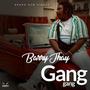 Gang Gang (feat. Barry Jay)