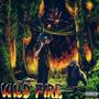 wild Fire (Explicit)