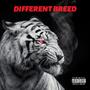 Different Breed (Explicit)