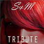 S&M (Rihanna Tribute)