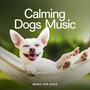 Calming Dogs Music